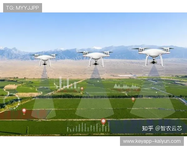 VAR技术未来场景探讨，全自动化判罚可能性分析